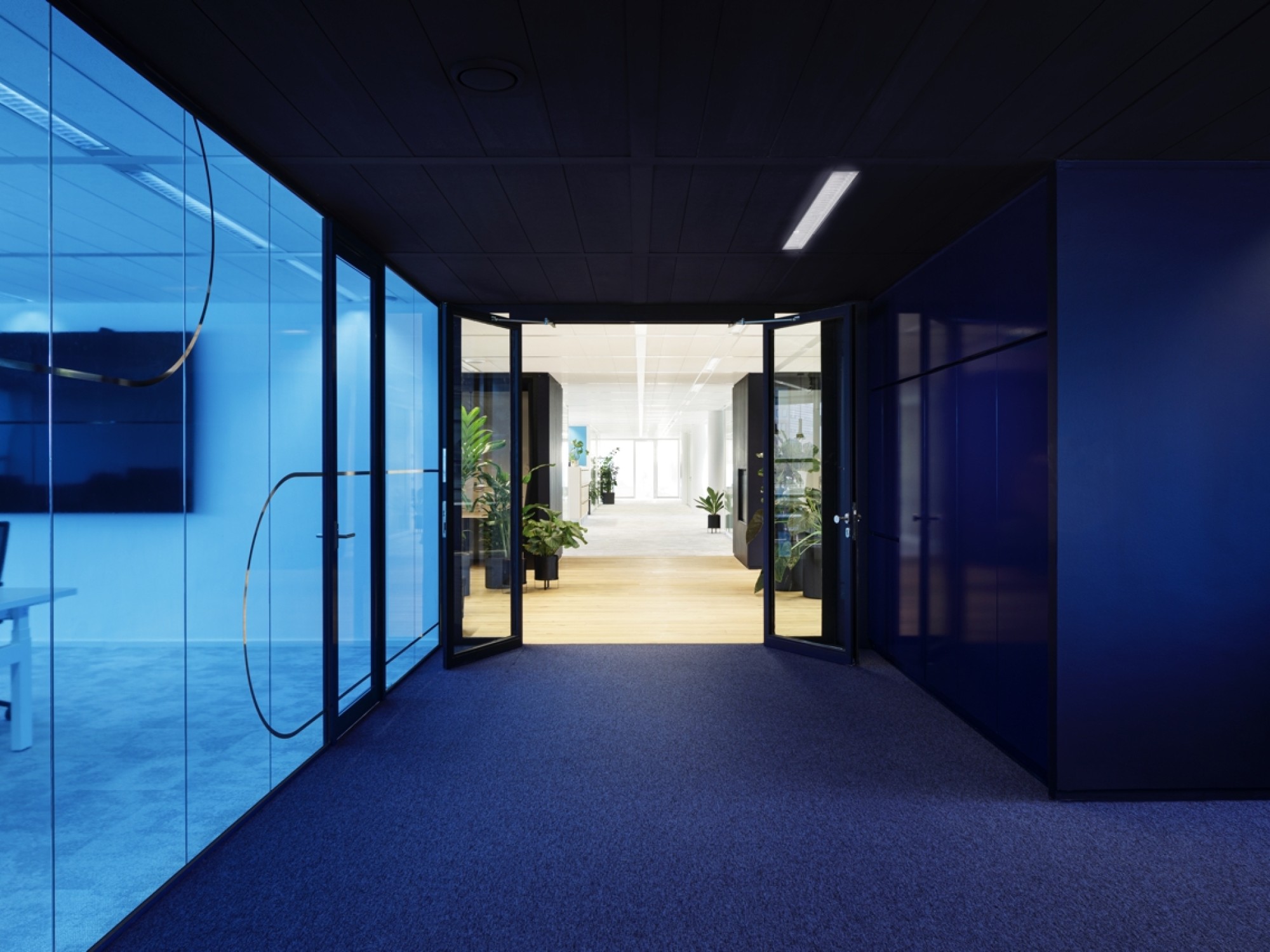 Een moderne kantoorruimte met een donkere gang en glazen vergaderruimtes met blauwe tint aan de linkerzijde. Dubbele glazen deuren leiden naar een lichtere ruimte met planten en zitplekken. Het plafond heeft strakke verlichting en de vloer is bekleed met