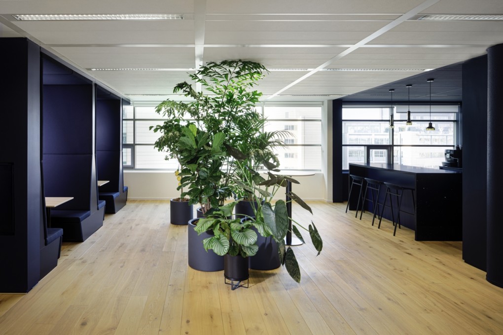 Grayspace_BPSolutions_02 groot