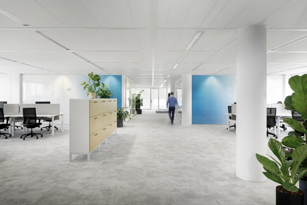 Grayspace_BPSolutions_07 groot