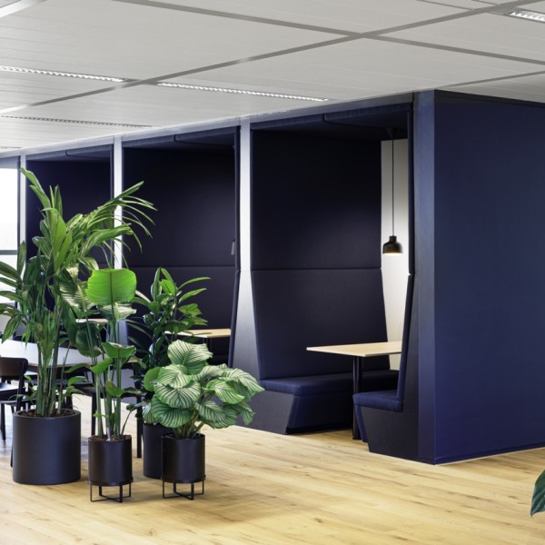 Grayspace_BPSolutions_05 groot