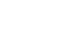 Bolster-Logo-white