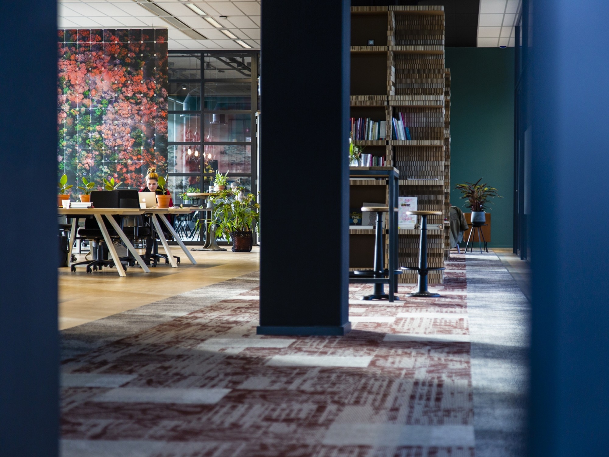 View inside the Mare office in Amsterdam with blue walls, open workspaces, plants and a homely working atmosphere, designed by BESPARK.