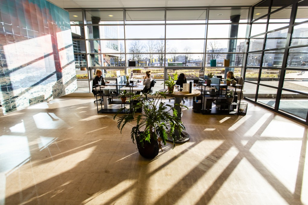 mare-kantoor-open-werkruimte-daglicht