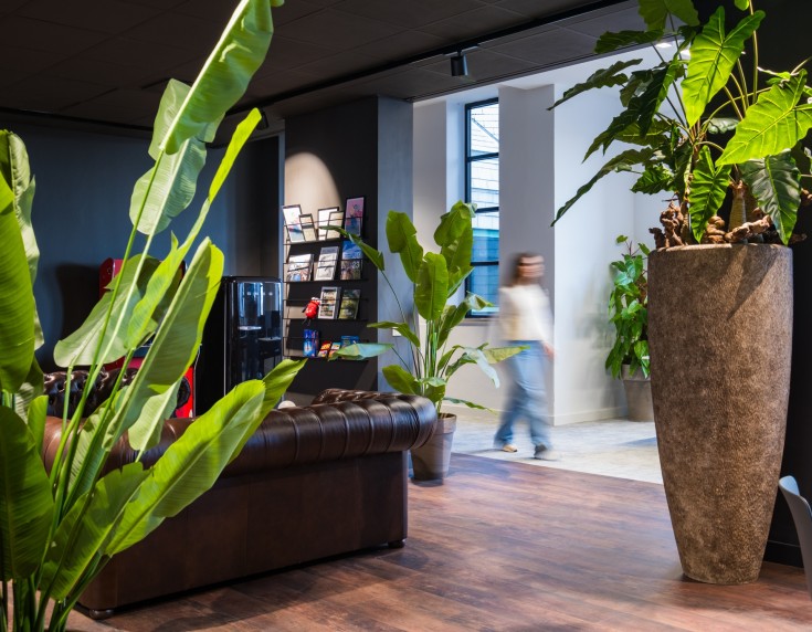 Sfeervolle kantoorruimte met grote groene planten, een leren bank en een loungehoek, waar natuurlijke materialen en warme verlichting zorgen voor een uitnodigende en ontspannen werkomgeving.