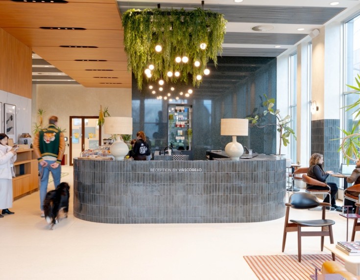 Lichte, moderne kantoorruimte met glazen vergaderkamers en grote ramen. Medewerkers werken geconcentreerd aan bureaus met laptops, terwijl een grote groene plant op de voorgrond en zichtbare plafondinstallaties de open en eigentijdse sfeer benadrukken.