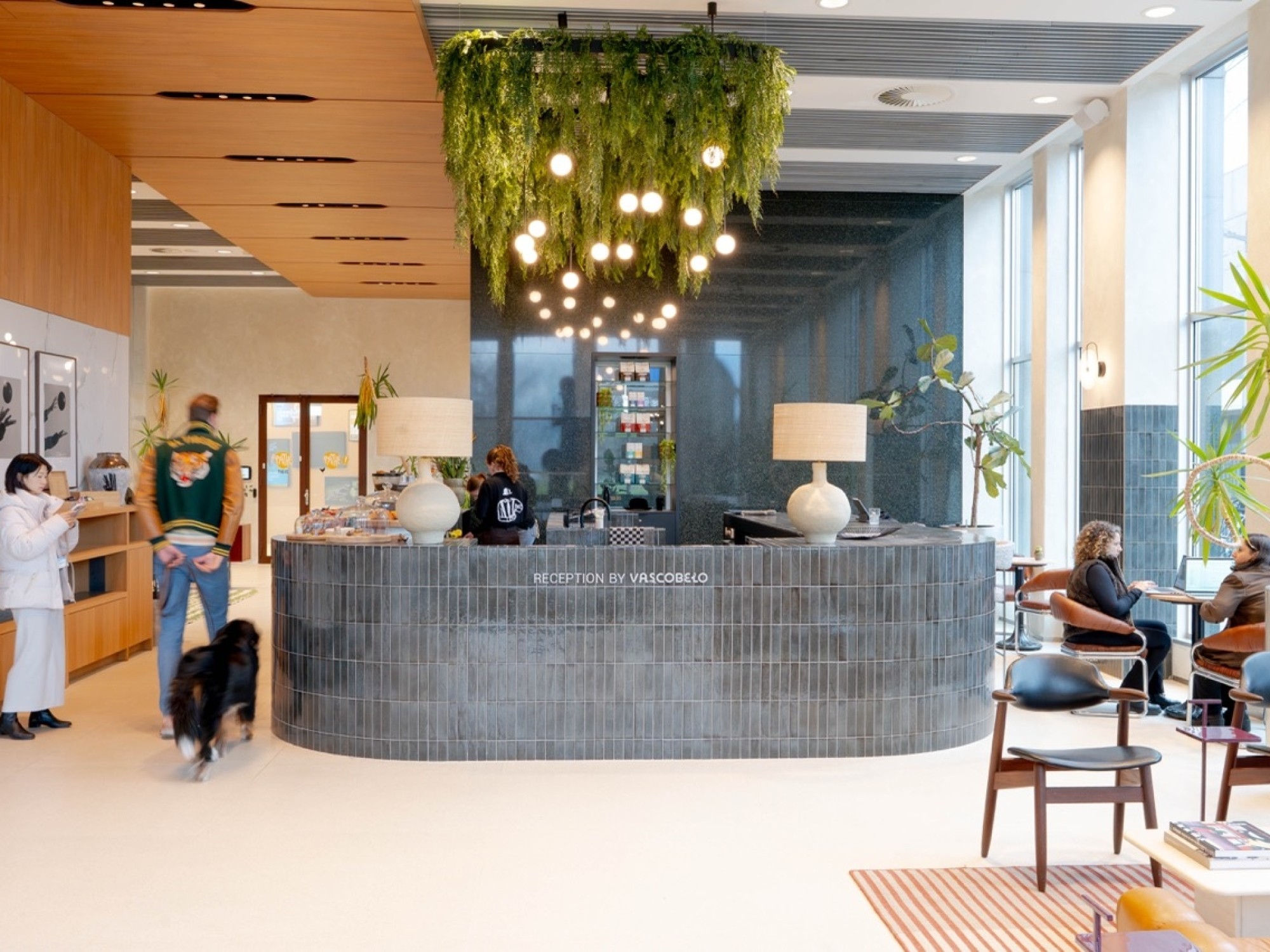 Moderne, lichte kantoorruimte met glazen vergaderruimtes en grote ramen. Enkele mensen werken geconcentreerd achter laptops aan minimalistische bureaus, terwijl een grote groene plant op de voorgrond en zichtbare plafondinstallaties de open, eigentijdse w
