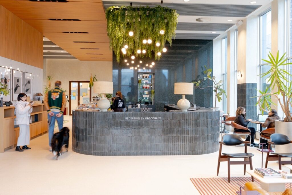 Lichte, moderne kantoorruimte met glazen vergaderkamers en grote ramen. Medewerkers werken geconcentreerd aan bureaus met laptops, terwijl een grote groene plant op de voorgrond en zichtbare plafondinstallaties de open en eigentijdse sfeer benadrukken.