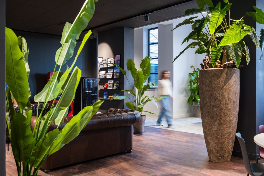 Sfeervolle kantoorruimte met grote groene planten, een leren bank en een loungehoek, waar natuurlijke materialen en warme verlichting zorgen voor een uitnodigende en ontspannen werkomgeving.