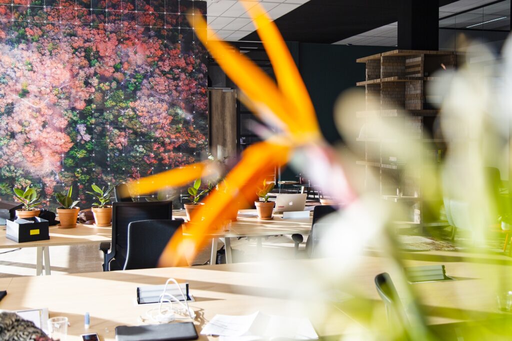 Moderne kantoorruimte met bureaus, planten en kleurrijke muurschildering op de achtergrond.