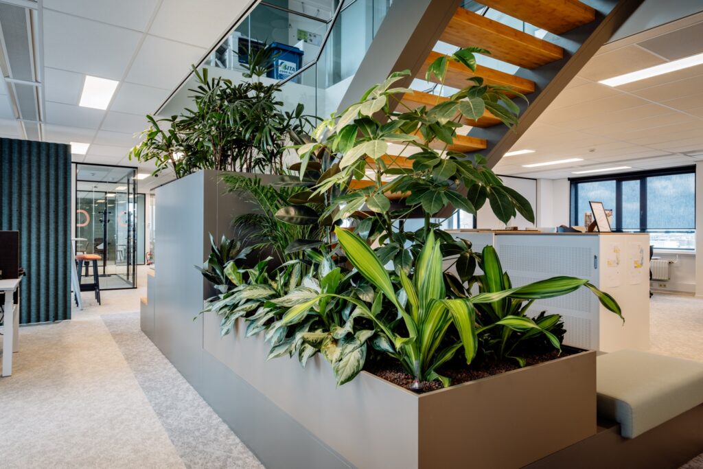 Planten_onder_trap_DeSleutels