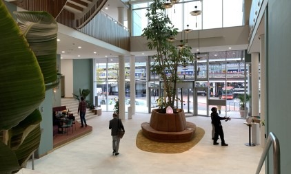 Moderne entree met veel daglicht, een centrale plantenbak en een open, ruimtelijk ontwerp.