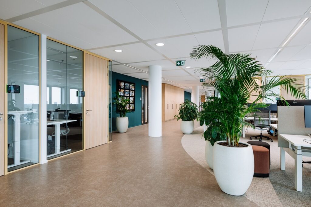 Open kantoorruimte met glazen vergaderruimtes, werkplekken en grote planten, ingericht met focus op biophilic design, licht en een prettige werkomgeving.