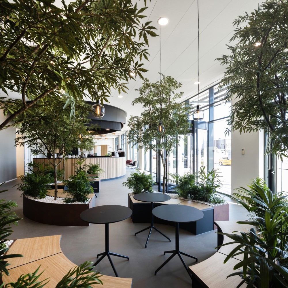 Interieur van een moderne kantoorruimte met veel groen en ronde meubels op de NDSM-werf.